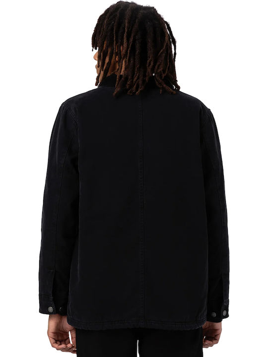Dickies Dickies