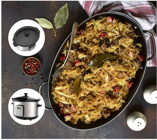 Camry Slow Cooker 270W With Capacity 4.7lt Silver
