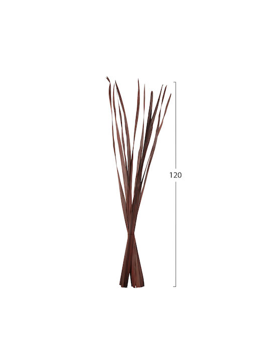 HomeMarkt Dried Plant Brown 10pcs