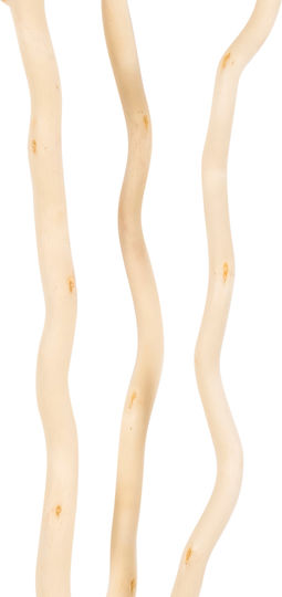 Getrocknete Pflanze Weiß 180cm 3Stück HomeMarkt