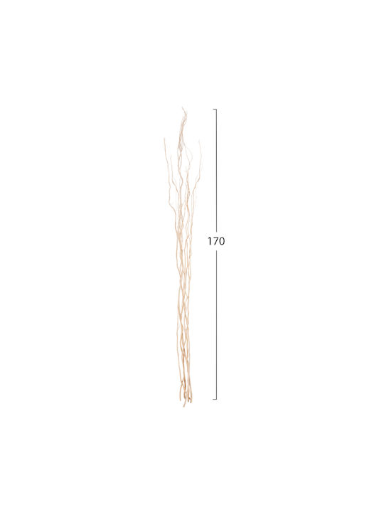 HomeMarkt Dried Plant Ecru 170cm 5pcs