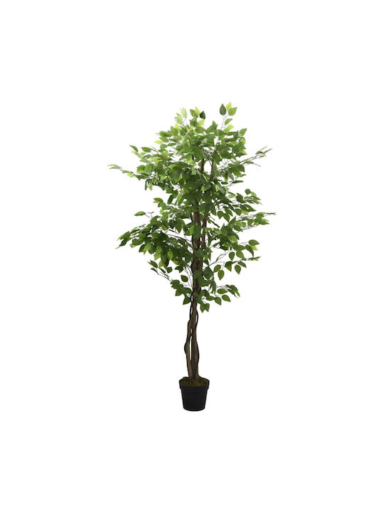 Φίκος σε Γλάστρα 80cm vidaXL