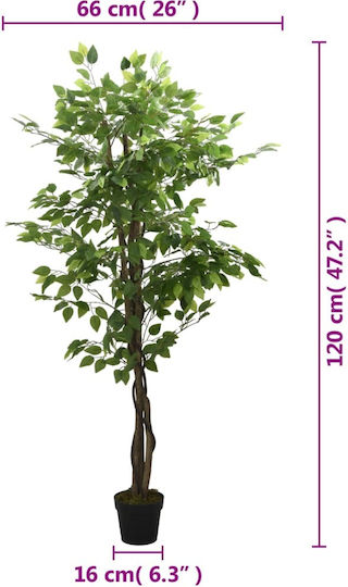 Μπαμπού Εξωτερικού Χώρου 120cm vidaXL