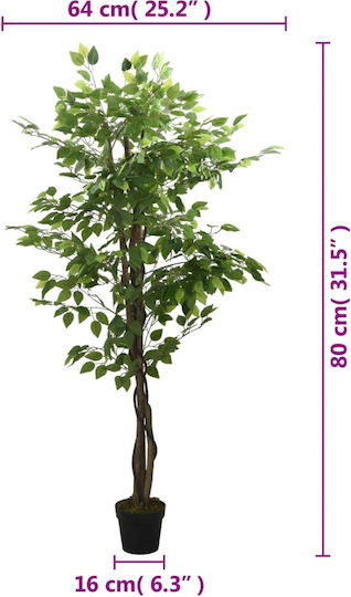 Φίκος σε Γλάστρα 80cm vidaXL