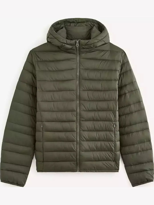 Winter Jacket caqui