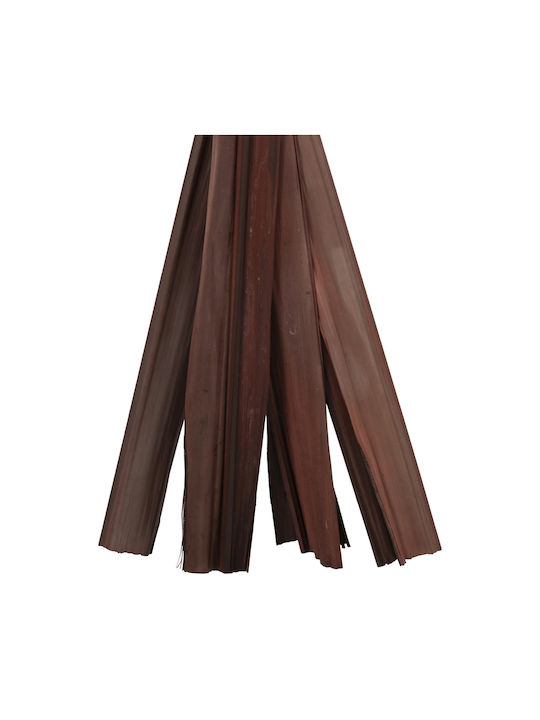 Dried Plant Brown 10pcs Freebox
