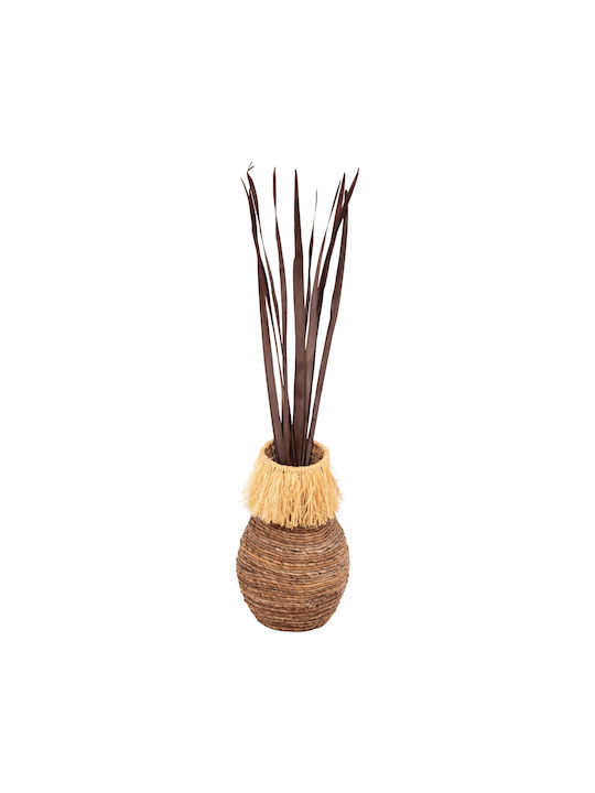 Dried Plant Brown 10pcs Freebox