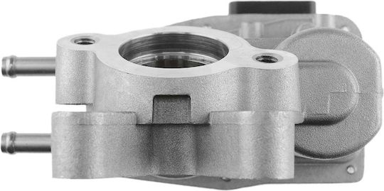Car EGR valve