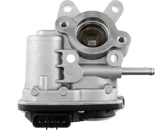 Car EGR valve