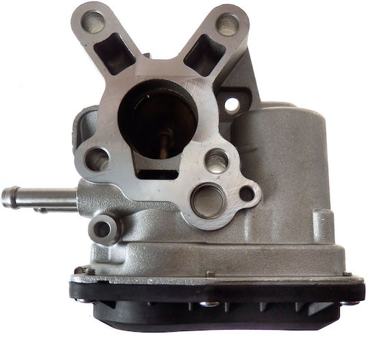 Car EGR valve