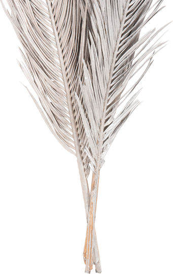 Getrocknete Pflanze Palme Silber HomeMarkt