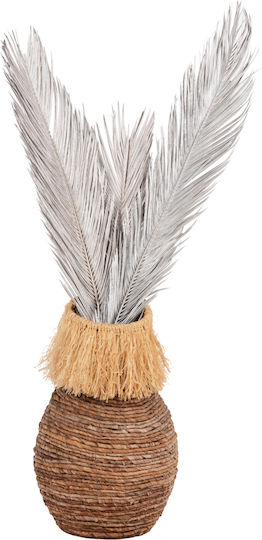 Dried Plant Palm Tree Silver Freebox