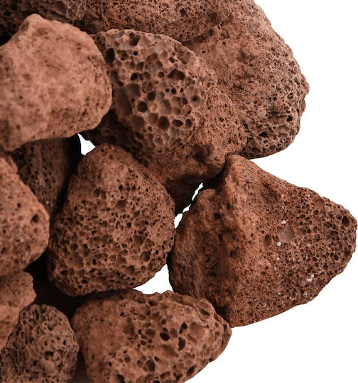 vidaXL 25gr