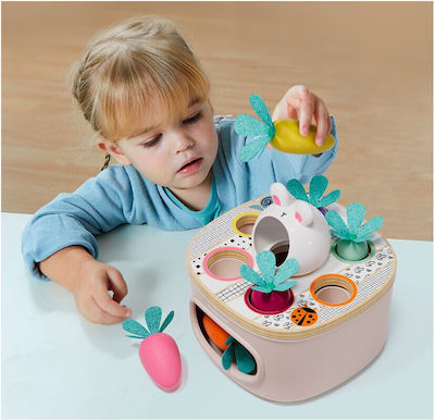 Top Bright Shape Sorting Toy Match + Sort Carrots