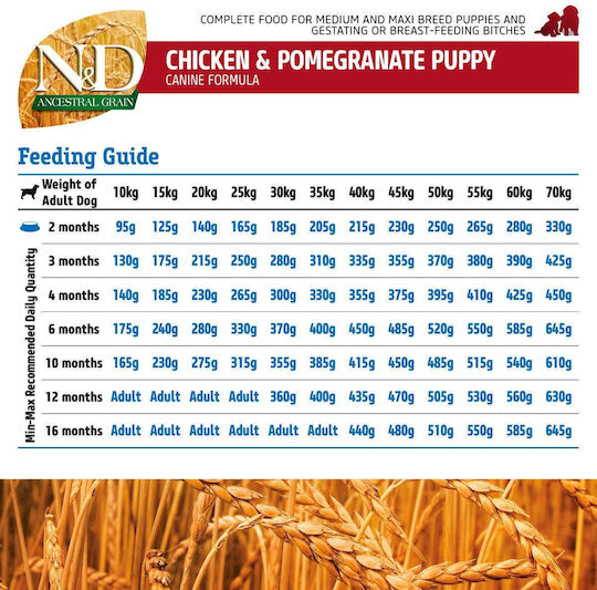 Farmina Ancestral Grain Chicken & Pomegranate Puppy Medium 12kg Dry Food with Few Grains for Medium Breed Puppies with Chicken and Pomegranate