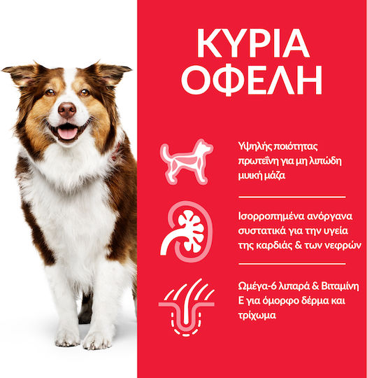 Hill's Science Plan Mature Adult 7+ Medium 2.5kg Dry Food for Adult Medium Breed Dogs with Chicken