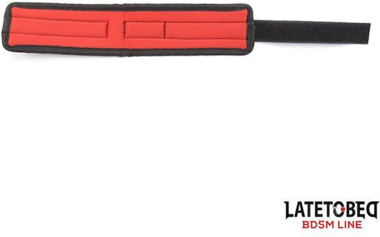 LateToBed BDSM Kit