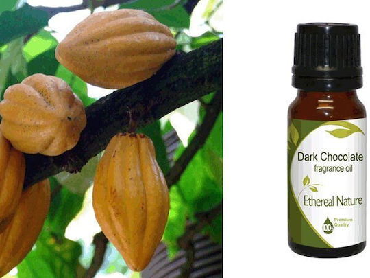 Nature & Body Dark Chocolate Essential Oil 10ml