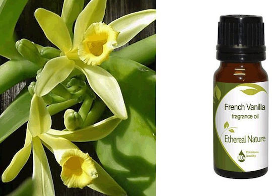 Nature & Body Αρωματικό Έλαιο Βανίλια Γαλλική 10ml