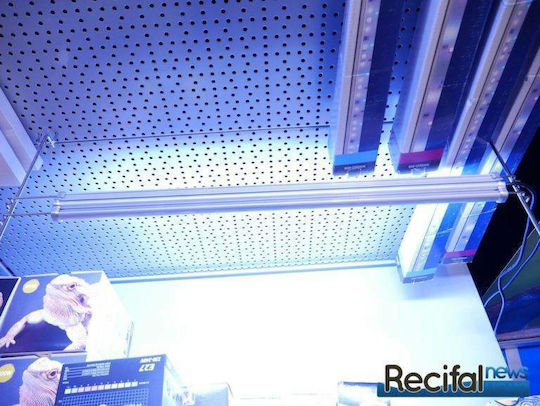 Aquarium Systems Led-Lampe für Aquariumbeleuchtung 36W 9cm
