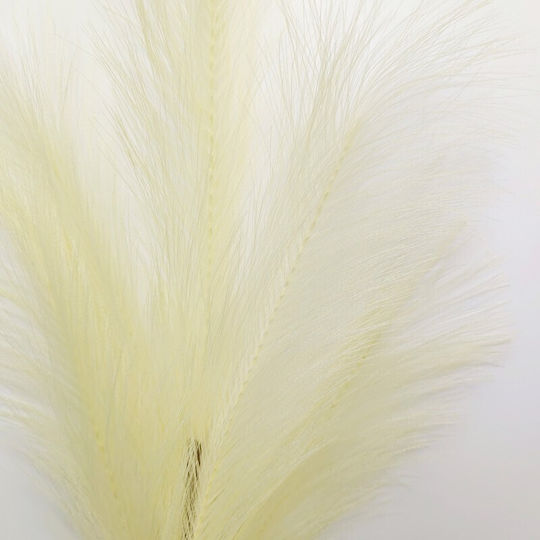Τεχνητό Διακοσμητικό Κλαδί Pampas grass Εκρού Supergreens Τεχνητό Διακοσμητικό Κλαδί Pampas grass Εκρού Supergreens