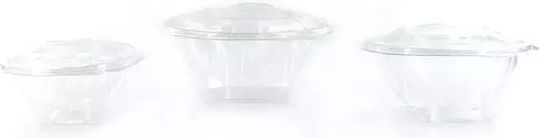 Ecocraft Disposable Plastic Tableware for Salads 250ml Transparent