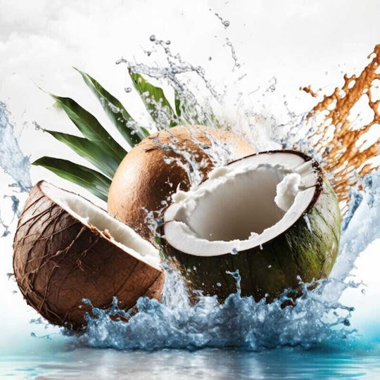 Themagio Fragrance Wax Melt with Fragrance Melts Coconut 77417 55gr