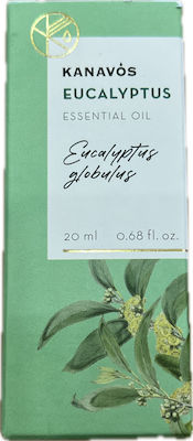 Kanavos Ätherisches Öl Eukalyptus 20ml