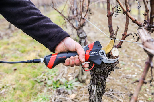 Infaco F3020 Medium Pruning Shears Battery Solo with Maximum Cutting Diameter 45mm