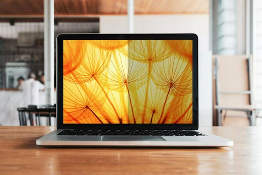 3M Screen Filter for 17.3"
