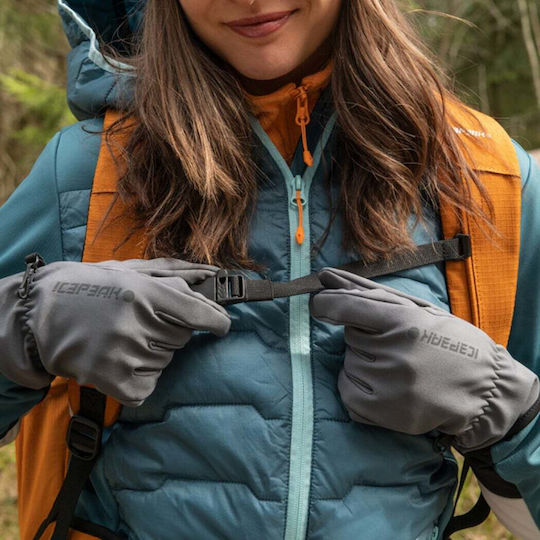 Icepeak Hustonville Γάντια Ορειβασίας Αφής Γκρι