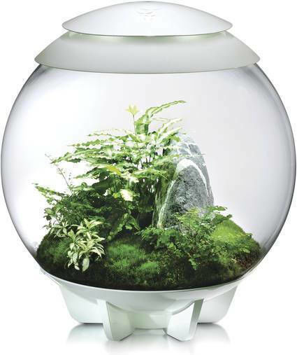 Oase Biorb Air Decorative Jar Garden 71748