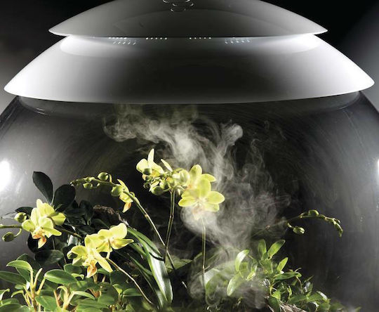 Oase Biorb Air Decorative Jar Garden 71748