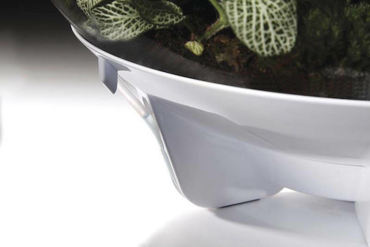 Oase Biorb Air Decorative Jar Garden 71748