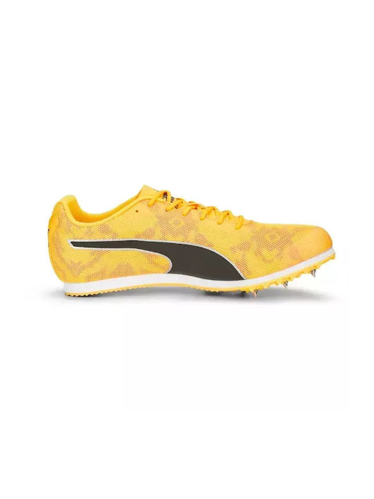 Evospeed Distance 11 Sport Shoes Spikes Yellow