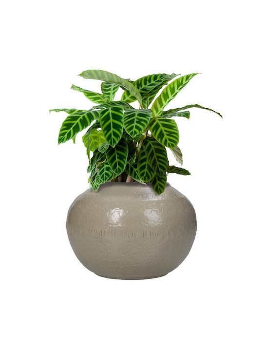 ArteLibre Decorative Vase Beige 14x14x14.5cm