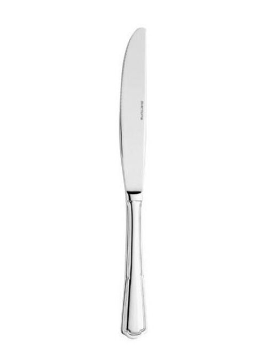 Salvinelli Messer Lebensmittel aus Edelstahl 23cm 2.5MM 12Stück