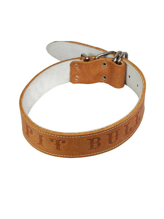 Dog Collar Leather in Brown color