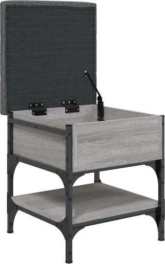 Hocker Für das Wohnzimmer Mit Stauraum Metall Gray 42x42x45cm