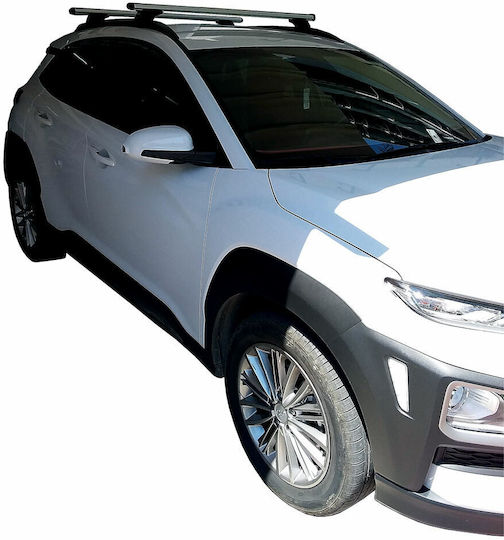 Nordrive 120cm. for Cars with Factory Bars (with Roof Rack Legs) Silver