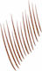 Maybelline Build-a-brow 2 Easy Steps Pencil for...