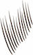 Maybelline Build-a-brow 2 Easy Steps Pencil for...
