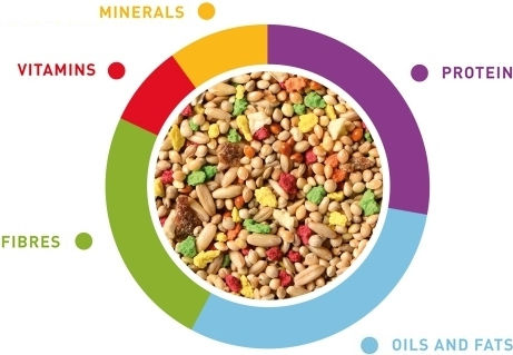 Padovan Grandmix Τροφή για Παπαγαλάκια 1kg