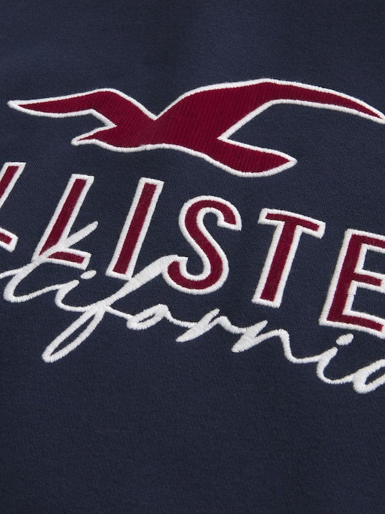 Hollister Herren Sweatshirt mit Kapuze Blau