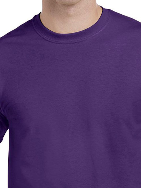 Kurzarmbluse Purple