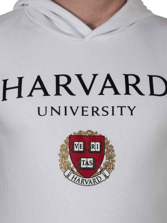 Park Fields