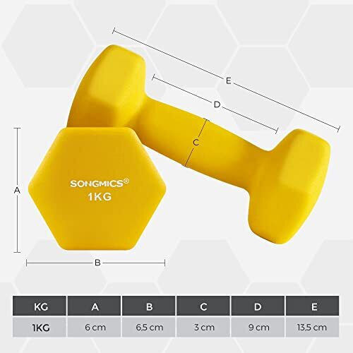 Songmics Σετ Βαράκια Εξάγωνα από Νεοπρένιο 2 x 1kg