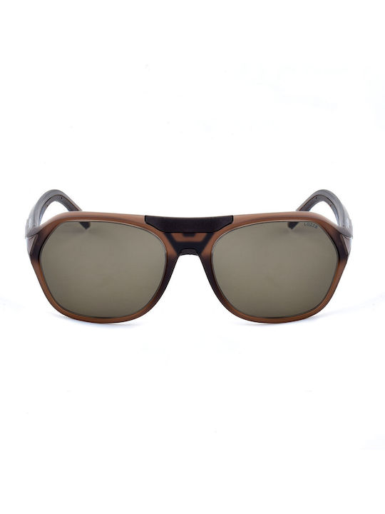 Lozza Men's Sunglasses with Brown Plastic Frame and Brown Lens SLP002M 0V41