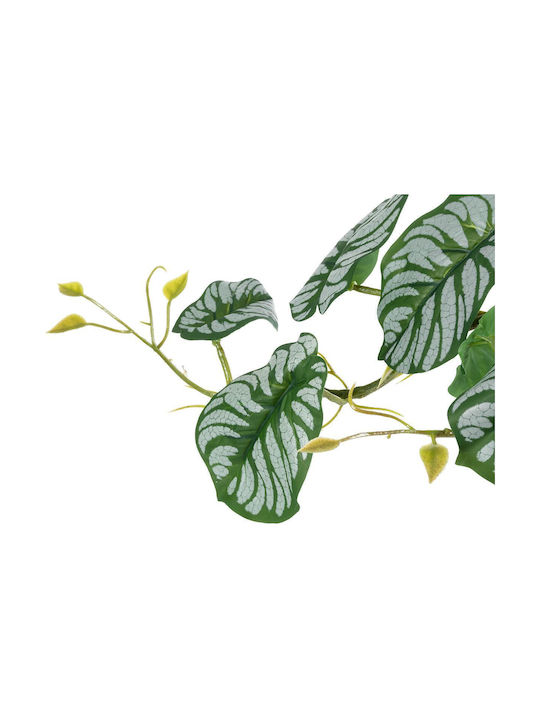 Decorative Artificial Plant Alocasia Green 50cm in Box 50pcs GloboStar