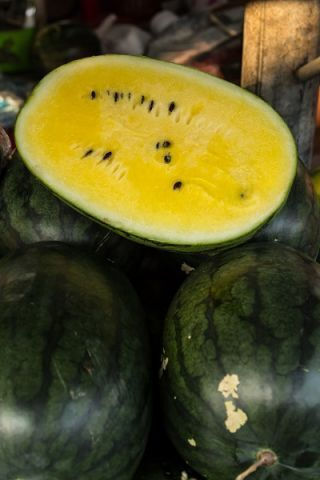 Σπόροι Καρπουζιού Citrullus Lanatus 2gr